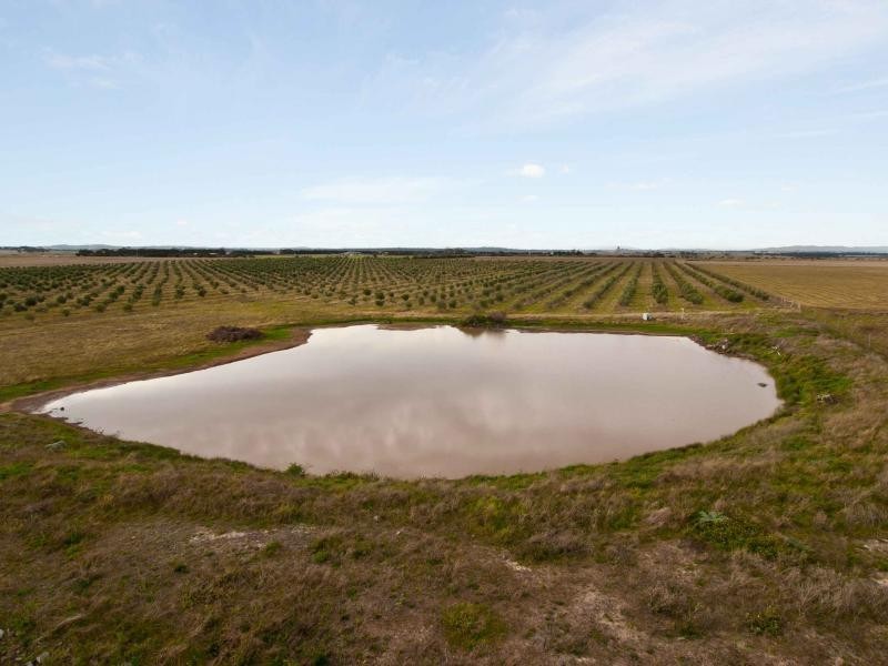 375 Loemans Road, Bulla VIC 3428