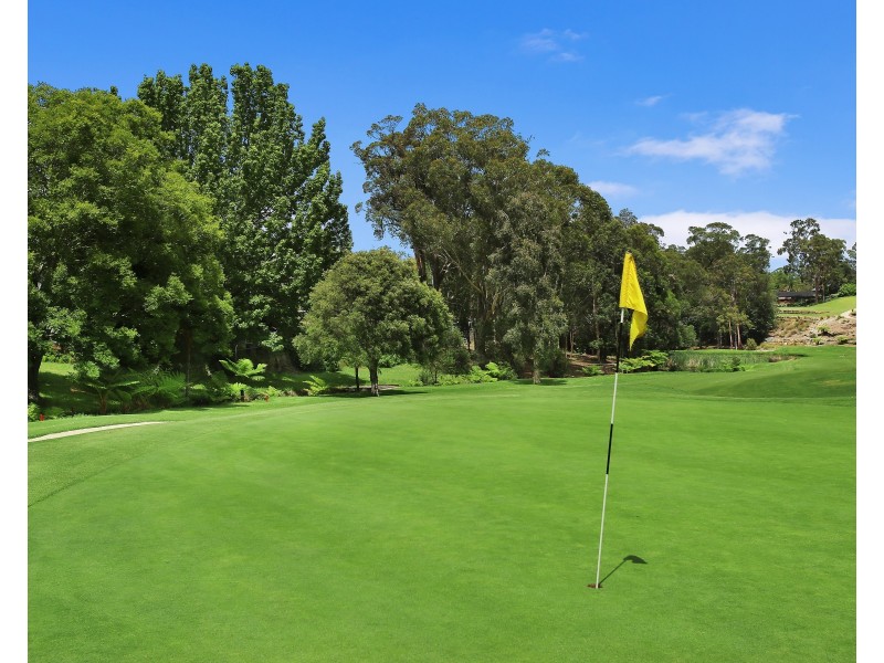 21 Woodbury Street, North Rocks NSW 2151