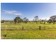 56 Raworth Avenue, Raworth NSW 2321