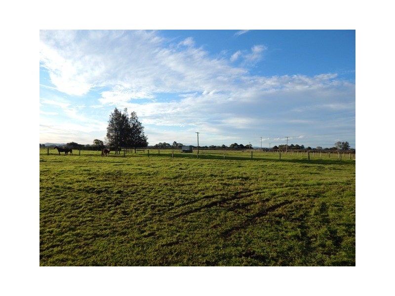 22 Riley Street, East Maitland NSW 2323