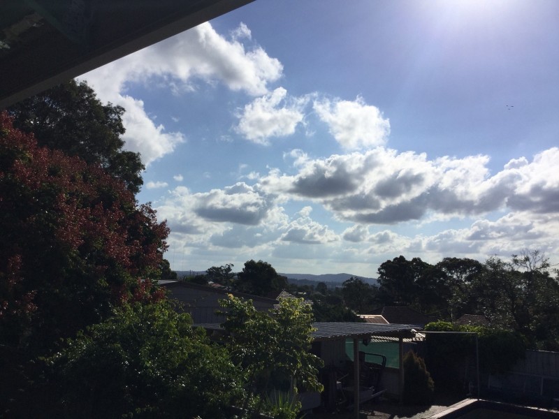 Birmingham Gardens NSW 2287