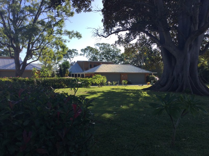 Paterson Road, Bolwarra NSW 2320