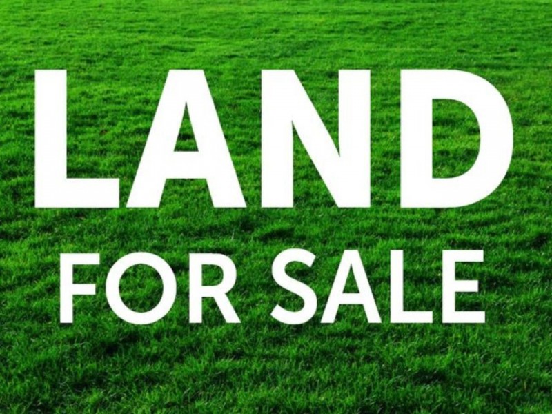 Lot 213, 14 Lucy Place, Raworth NSW 2321