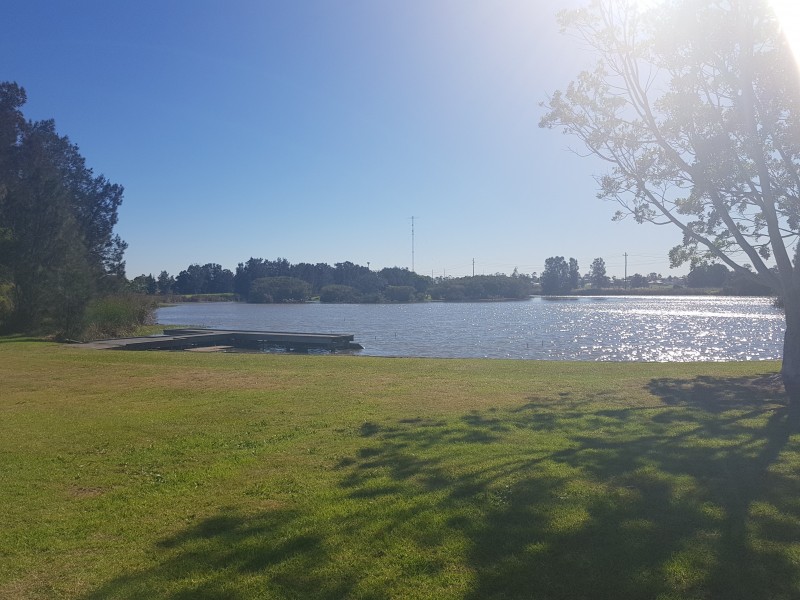 8 Paston Street, Tarro NSW 2322
