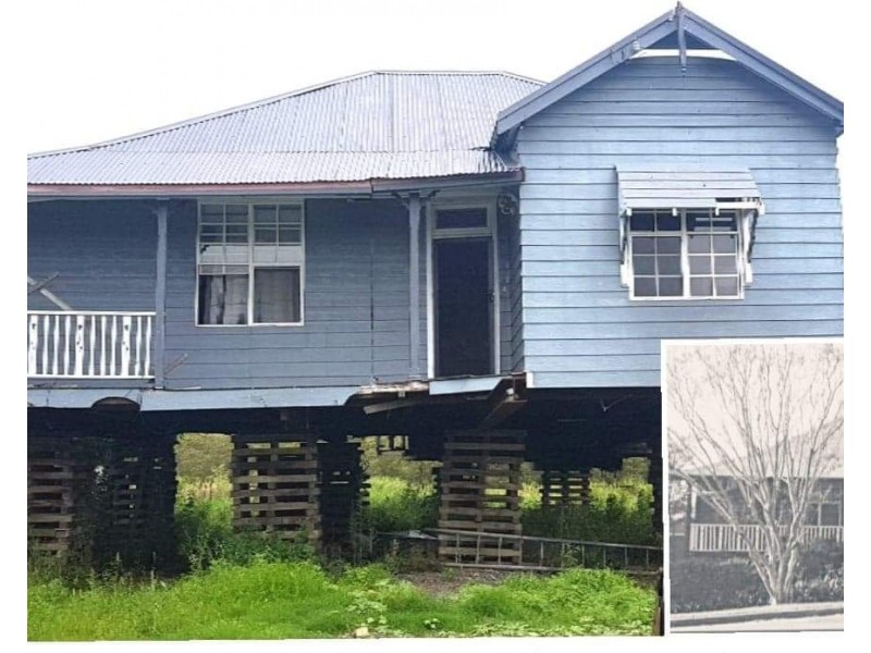 17 Shamrock Street, Hexham NSW 2322