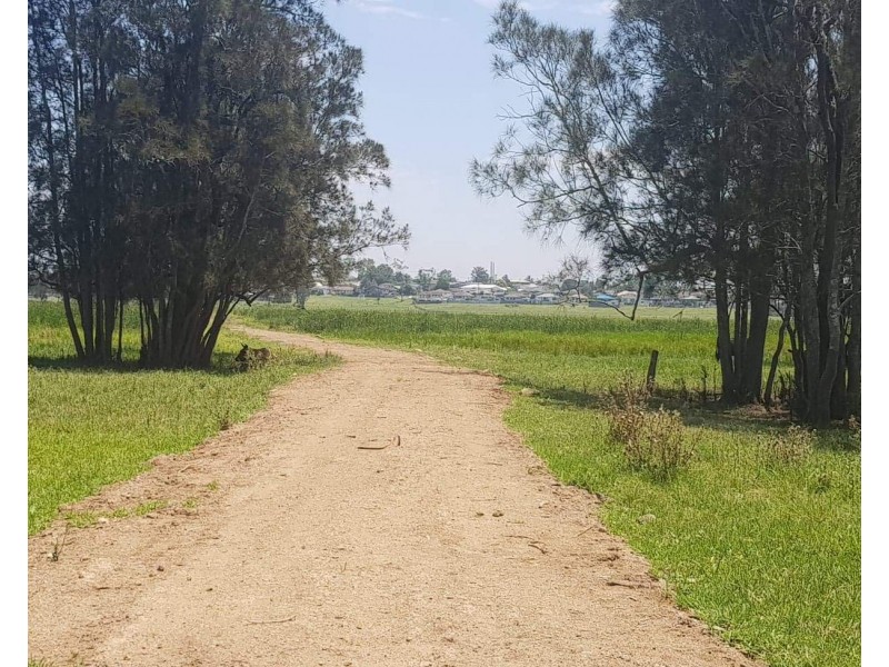 16 Woodberry Road, Tarro NSW 2322