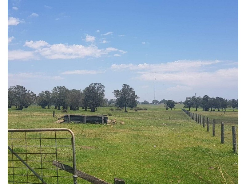 16 Woodberry Road, Tarro NSW 2322