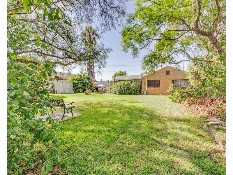 62 Dalwood Road, East Branxton NSW 2335