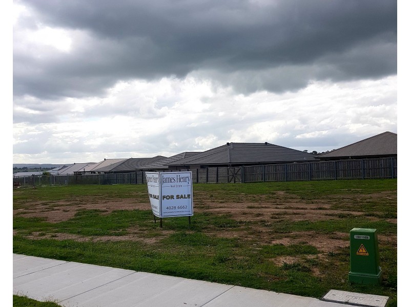 68 Arrowtail Street, Chisholm NSW 2322