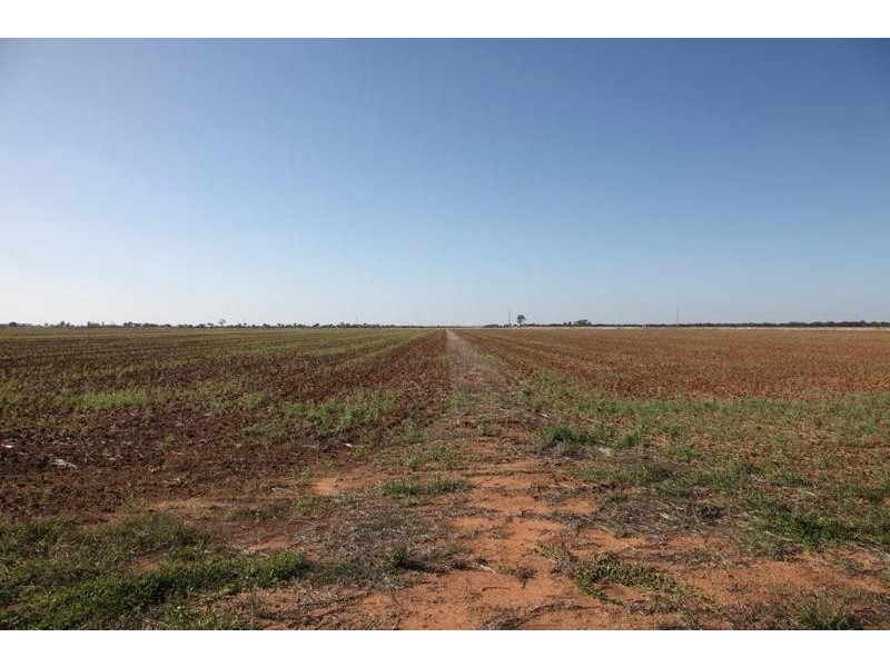Cnr Thornton road and McKenzie road, Echuca VIC 3564