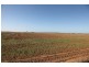 Cnr Thornton road and McKenzie road, Echuca VIC 3564