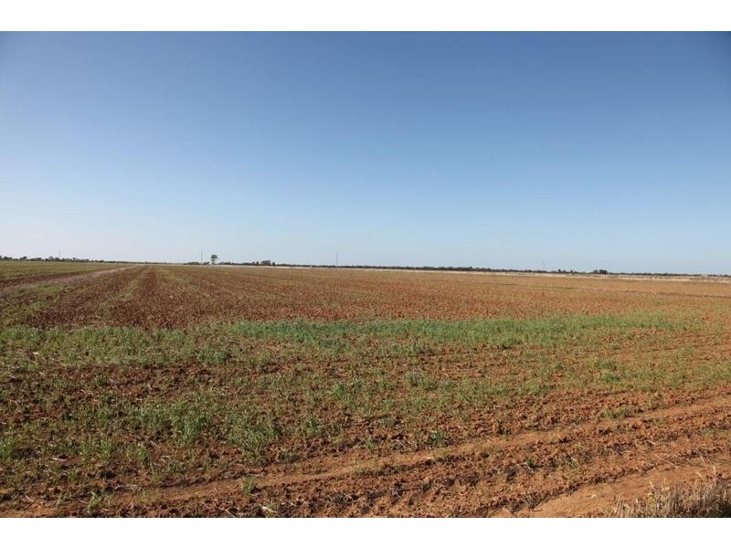 Cnr Thornton road and McKenzie road, Echuca VIC 3564
