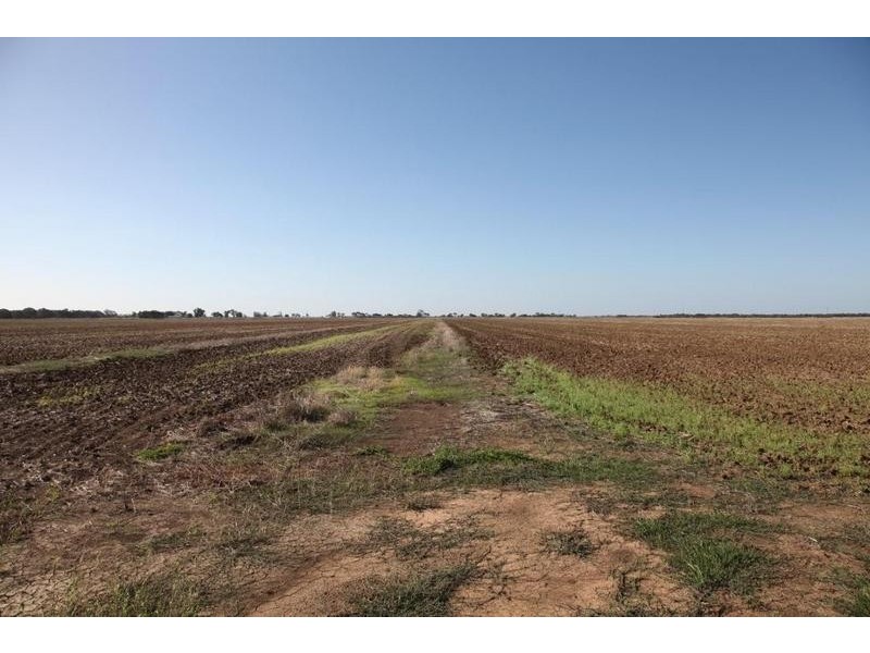 Cnr Thornton road and McKenzie road, Echuca VIC 3564