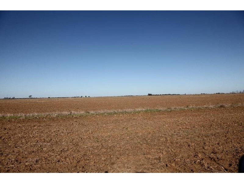 Cnr Thornton road and McKenzie road, Echuca VIC 3564