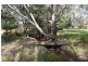 53 Mandurang South, Mandurang South VIC 3551