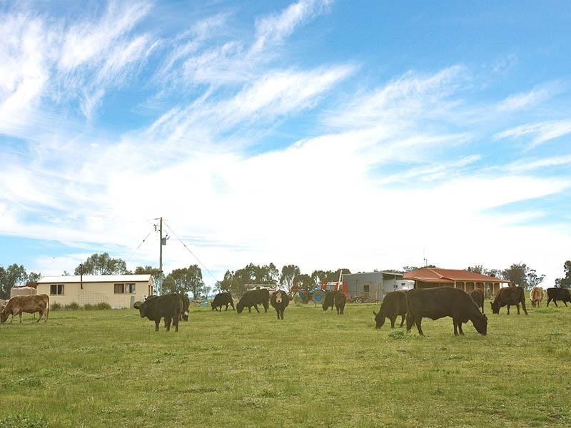 451 Schoolhouse Road, Knowsley VIC 3523