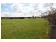 Blanket Gully Road, Castlemaine VIC 3450