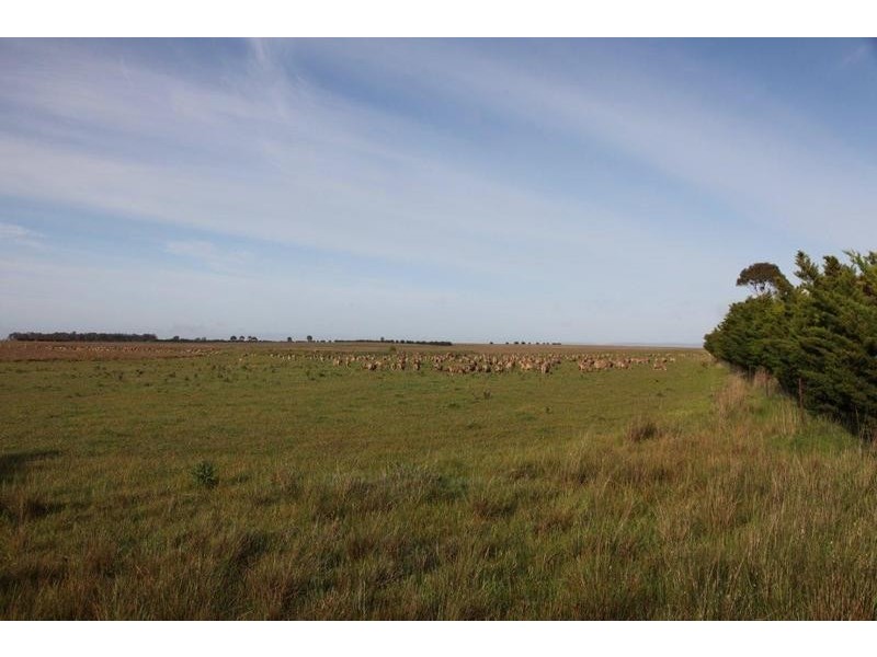 20 Gordons Road, Maryborough VIC 3465