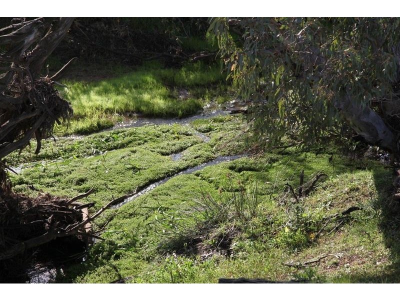 20 Gordons Road, Maryborough VIC 3465