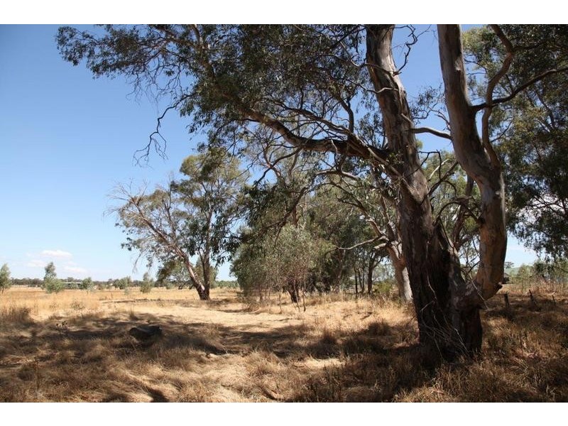 Lot 1 Pethericks Road, Bagshot VIC 3551