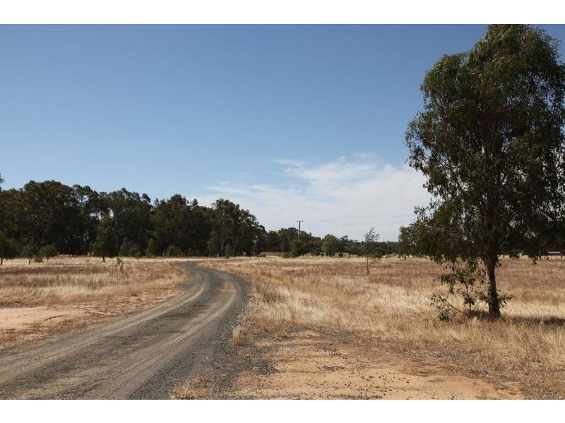 Lot 1 Pethericks Road, Bagshot VIC 3551