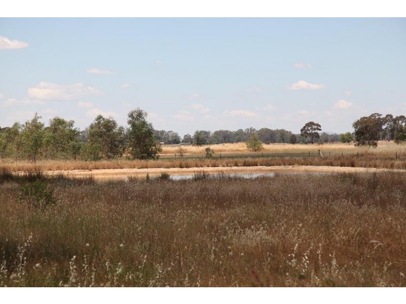 Lot 1 Pethericks Road, Bagshot VIC 3551