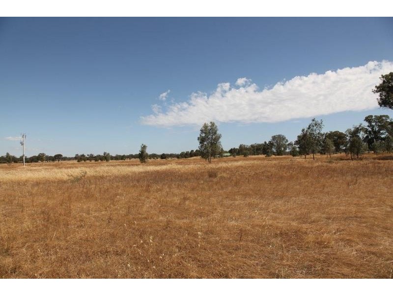 Lot 1 Pethericks Road, Bagshot VIC 3551