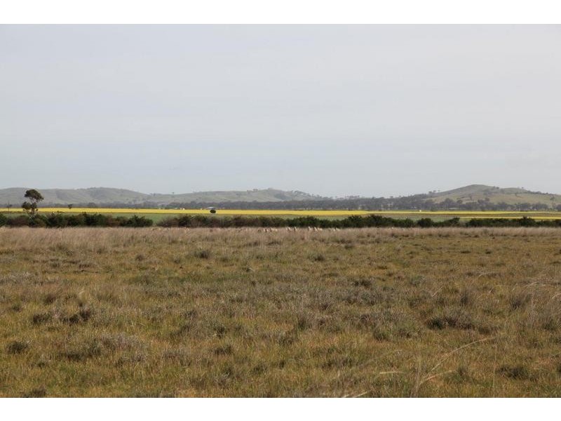 Lot 1/367 Wareek-Homebush Road, Avoca VIC 3467