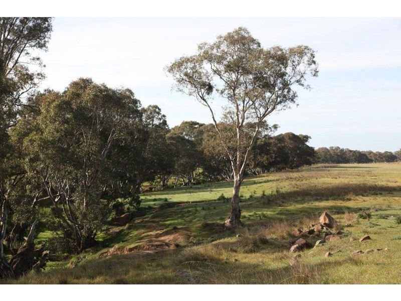 Lot 3/367 Wareek-Homebush Road, Avoca VIC 3467