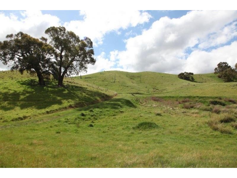 Lot 4 North Harcourt Rd, Sedgwick VIC 3551