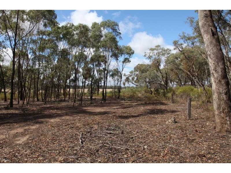 16 Lynch Lane, Longlea VIC 3551