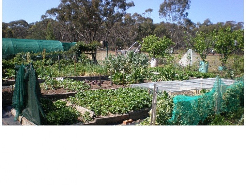 29 Douthat Lane, Tarnagulla VIC 3551