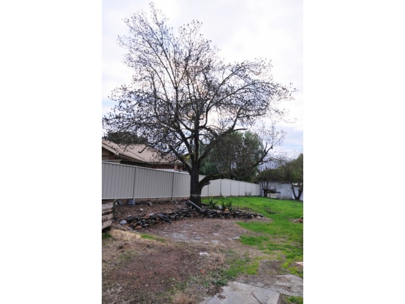 64 Bennett Street, Long Gully VIC 3550