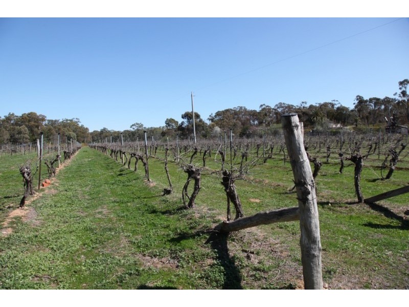 942 Kurting Road, Kingower VIC 3517