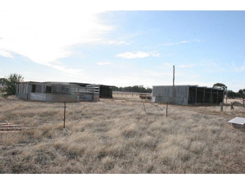 1607 Sebastian Road,, Campbells Forest VIC 3556