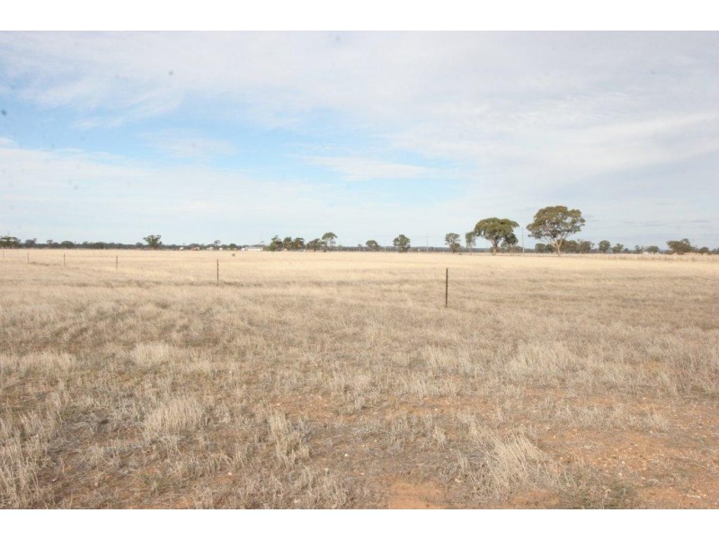 1607 Sebastian Road,, Campbells Forest VIC 3556