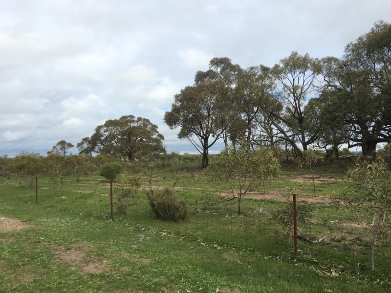 38 Arnold West Road, Arnold West VIC 3551