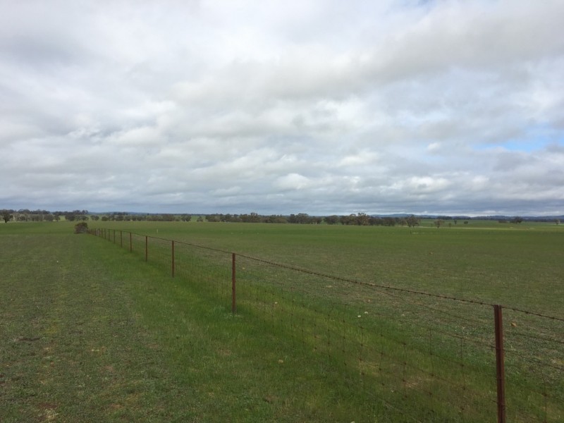 38 Arnold West Road, Arnold West VIC 3551