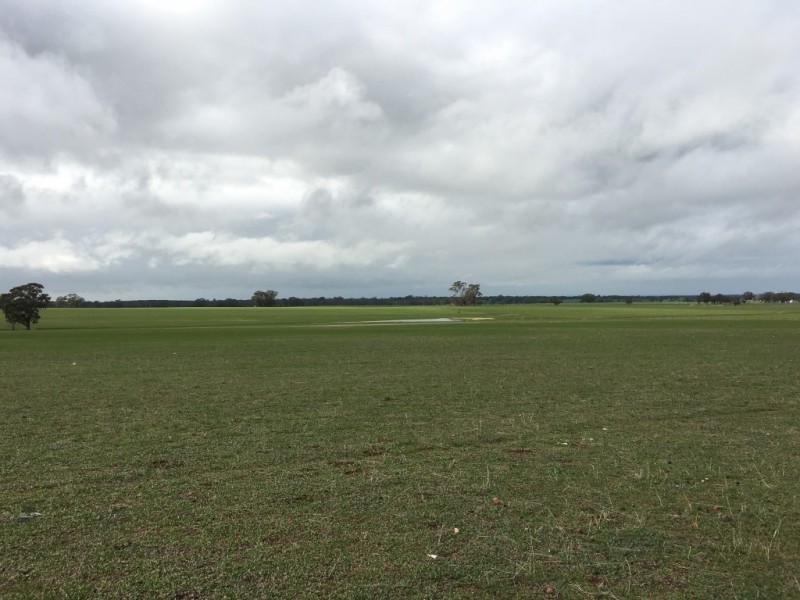 38 Arnold West Road, Arnold West VIC 3551