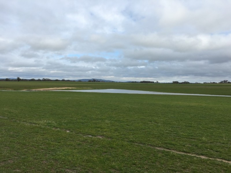 38 Arnold West Road, Arnold West VIC 3551