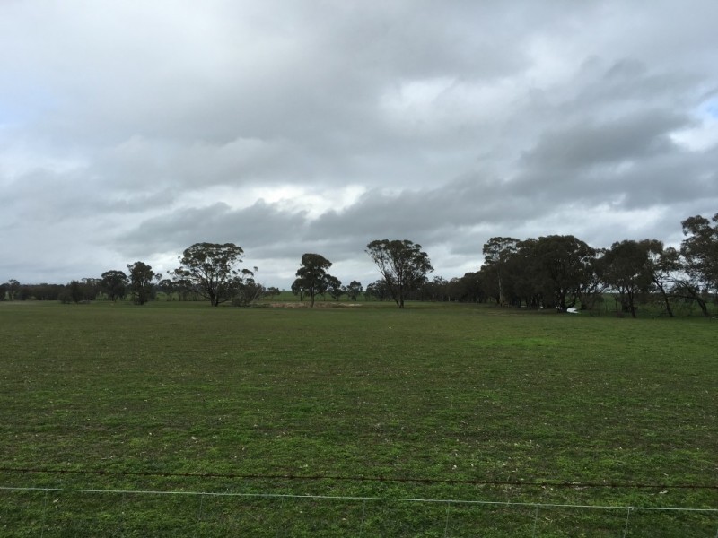 38 Arnold West Road, Arnold West VIC 3551