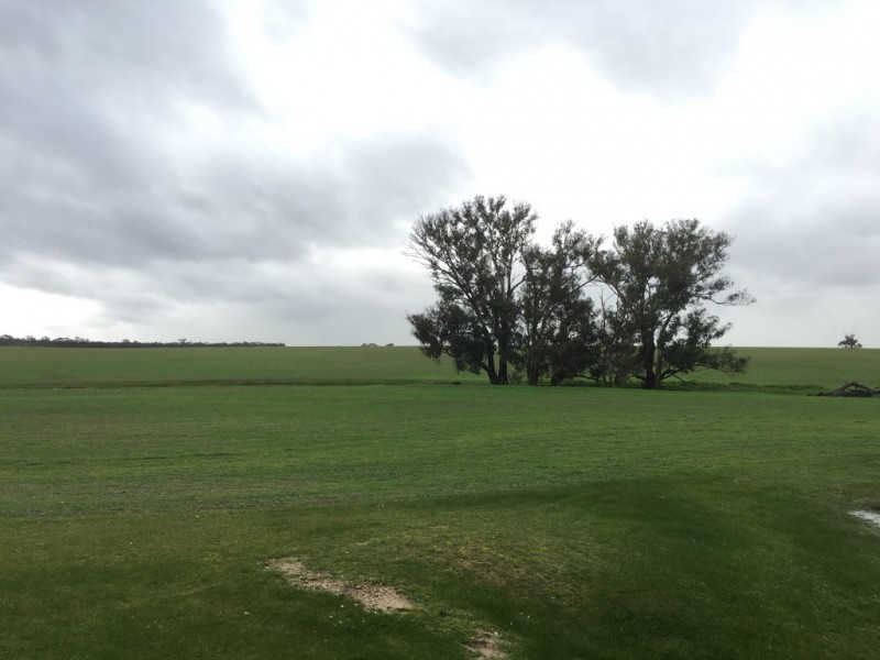 38 Arnold West Road, Arnold West VIC 3551