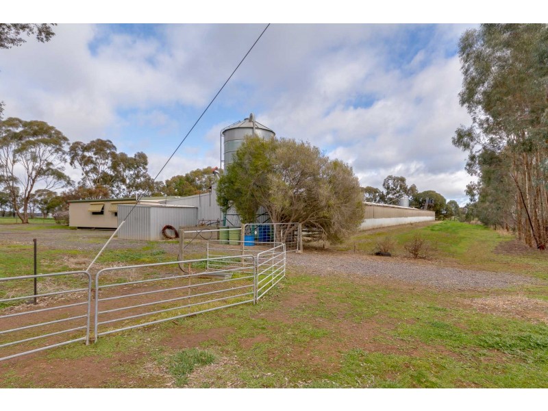 106 O’Sullivans Road, Marong VIC 3515