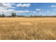 Elmore/Raywood Road, Kamarooka VIC 3570