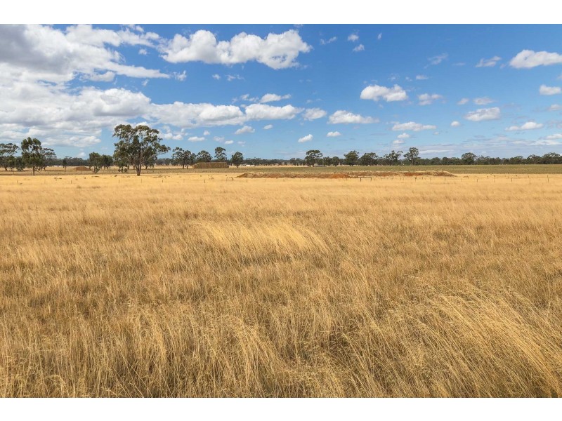 Elmore/Raywood Road, Kamarooka VIC 3570