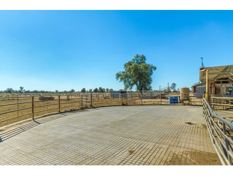 60 Thompsons Rd, Cohuna VIC 3568