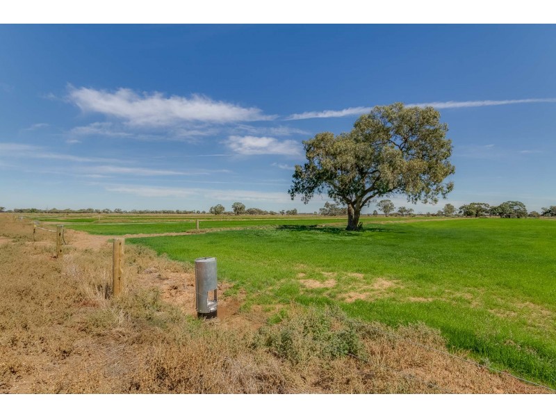 60 Thompsons Rd, Cohuna VIC 3568
