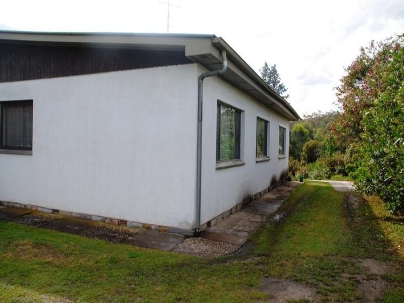 34 Carstens St, Lavington NSW 2641