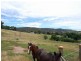 Lot 61 Pannach Lane, Hamilton Valley NSW 2641