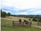 Lot 61 Pannach Lane, Hamilton Valley NSW 2641